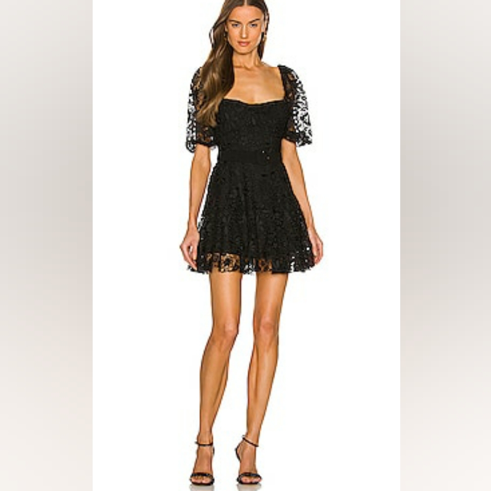 NWT Revolve Karina Grimaldi Melanie lace mini dress!